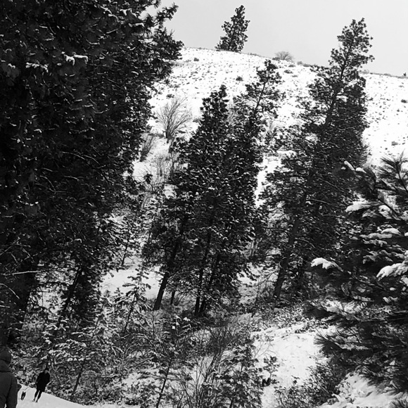 Meet your Posher, Crysta - Picture 1 of 1